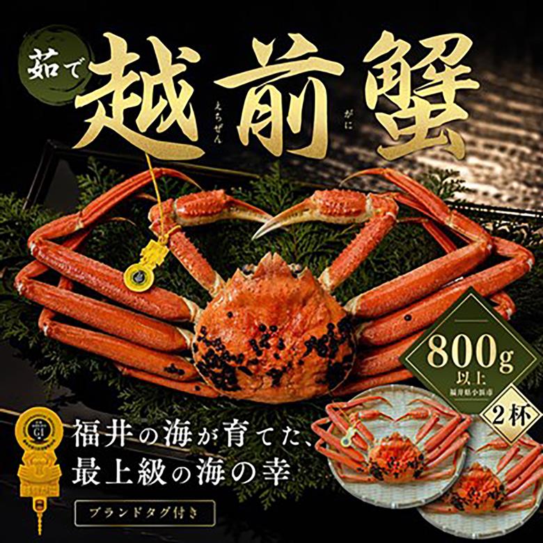 【先行予約/11月18日より順次配送】越前がに 800g×2杯 茹で 福井県産ズワイガニ / かに カニ 蟹 越前ガニ ズワイガニ ボイル / 小浜市 / 一進わかさ【配送不可地域：北海道・沖縄・離島