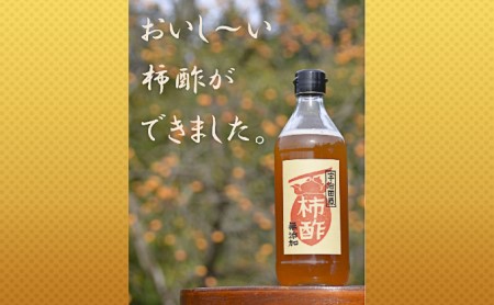 柿酢～美味しいレシピ付き～〈柿 ころ柿 酢 無添加 たれ ドレッシング 果実酢 純正 調味料 レシピ〉 