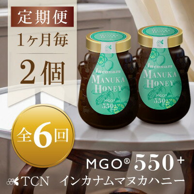 【ふるさと納税】【毎月定期便】インカナム マヌカハニー【MGO550+】500g×2個　全6回【4050139】
