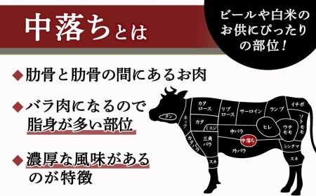 宮崎牛中落ち1.2kg_MJ-2509_(都城市) 宮崎県産宮崎牛 A4ランク以上 牛中落ち肉 600g 2パック 牛中落ちカルビ ゲタ 中バラ 国産 牛バラ肉 カレー おでん 煮込み料理