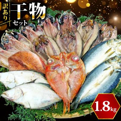 ふるさと納税 沼津市 【訳あり】干物 1.8kgおまかせセット 海鮮詰め合わせ(アジ、ホッケ、他)