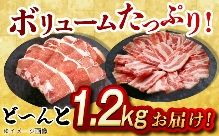 肉 豚 ぶた ブタ ロース バラ 豚バラ 焼肉 焼き肉 食べ比べ 西海市 長崎 九州 定期便