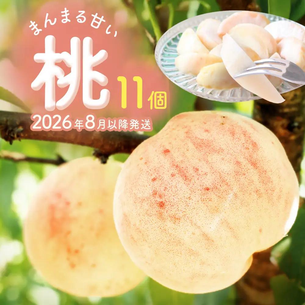 【先行受付】 富山県産 桃 11個 ＜2026年8月以降順次発送＞ ｜ 桃 先行予約