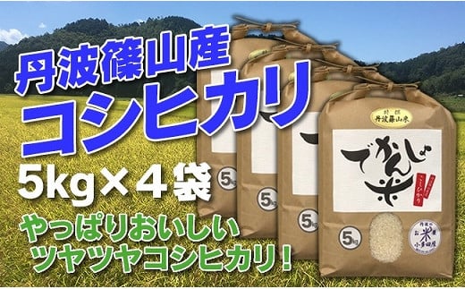 【令和6年産 新米】お米のおいしさ伝えたい！丹波篠山産コシヒカリ5kg×4