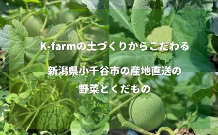 K-farmのこだわりメロン 5種類の中から おまかせ 厳選 2玉