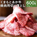 【ふるさと納税】GI認証取得 くまもとあか牛 焼肉用 切り落とし 300g×2パック 合計600g あか牛 切落し 牛肉 肉 国産 九州産 熊本県産 冷凍 送料無料