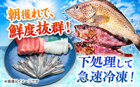 【全6回定期便】漁師の極み刺身パック（粋）1皿 五島市/Sun Sea Go Company 魚 おまかせ お任せ 鮮魚 五島列島[PGL019]