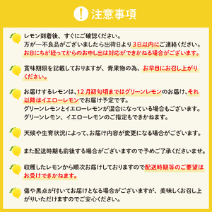 【2025年11月下旬～発送】とびしまレモン1kgとレモンシロップセット ku118-007-25