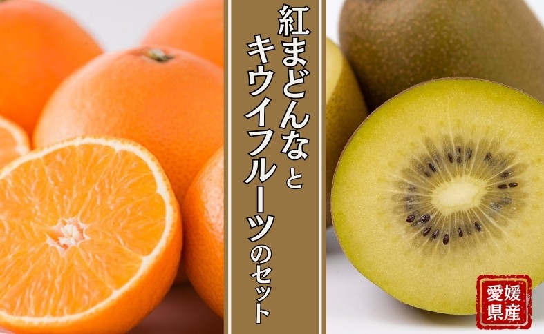 【2026年先行予約】みかん 愛媛 サンゴールドキウイ ゴールドキウイ 【2026年11月中旬順次発送予定】 サンゴールドまたはゴールドキウイと紅まどんなのセット 人気 数量限定 柑橘 伊予市｜B88