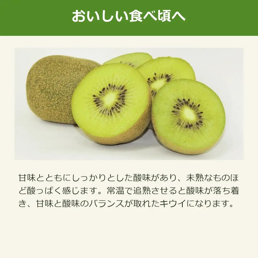 キウイフルーツ L 30玉 | 新潟県 佐渡市 キウイ
