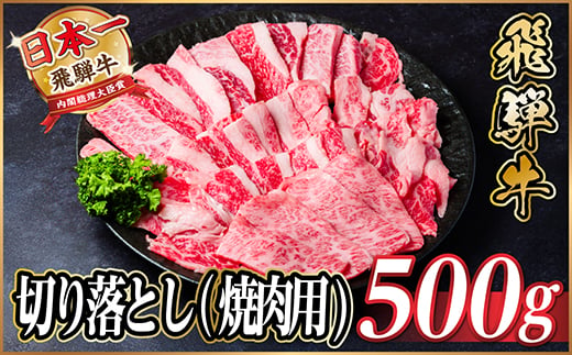 飛騨牛 厳選切り落とし(焼肉・BBQ用) 500g　訳あり 黒毛和牛　4～A5等級【1487352】