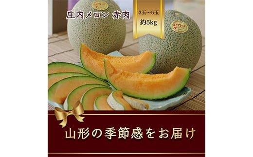 山形県庄内産 メロン 3玉入～5玉入 約5kg 赤肉 《品種の指定はできません》【2025年6月から発送】  赤肉メロン デザート フルーツ 果物 くだもの 果実 食品 山形県 FSY-1066