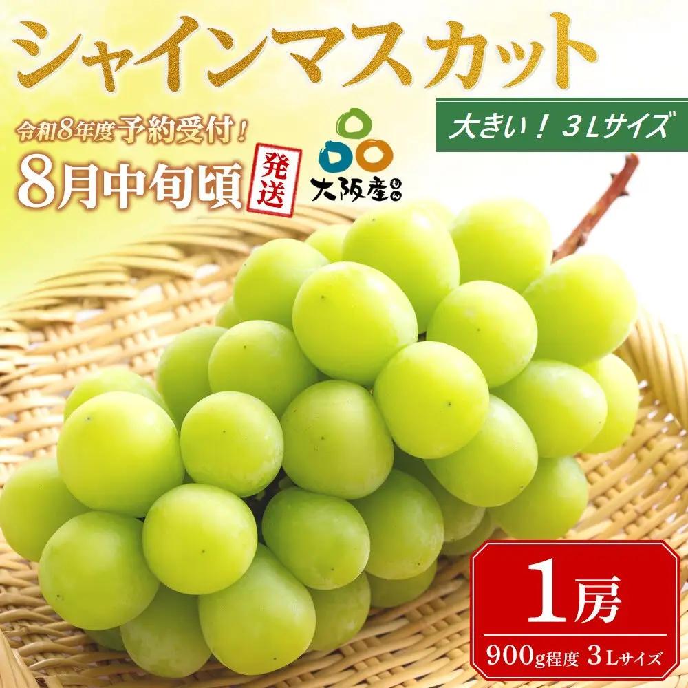 ＜2026年 先行受付 8月中旬発送＞【貝塚市産】特選シャインマスカット 900g以上３Lサイズ