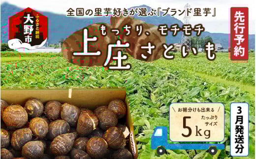 【先行予約】【3月発送分】満天☆上庄産さといも5kg 日本一の味をめざし、有機肥料配合、減農薬栽培の「独自栽培」で作る里芋