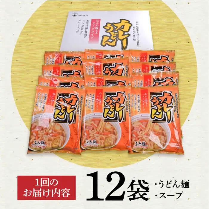 【全3回定期便】スープカレーうどん 12食 VAI071 カレーうどん