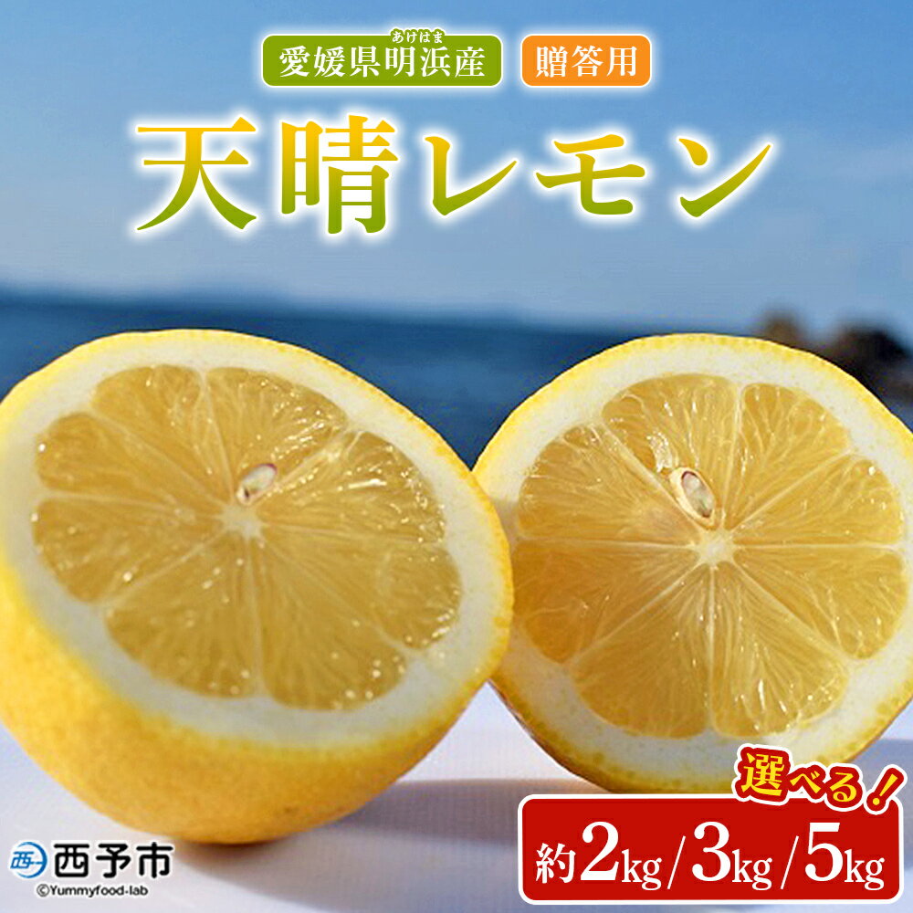 【ふるさと納税】＜天晴レモン 贈答用 約2kg/3kg/5kg＞ フルーツ 果物 くだもの レモン れもん 檸檬 柑橘 プレゼント 贈り物 お返し お礼 ギフト アレンジ 料理 国産 国産レモン 愛媛県産 特産品 株式会社笑丸 愛媛県 西予市【常温】『2025年9月～2026年1月に順次出荷予定』