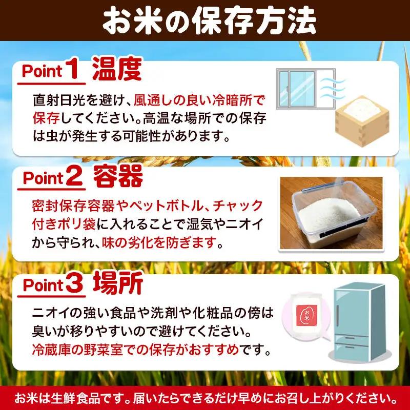 米 令和7年産 サキホコレ【精米】秋田ブランド米 10kg（5kg×2袋）秋田県大仙市産