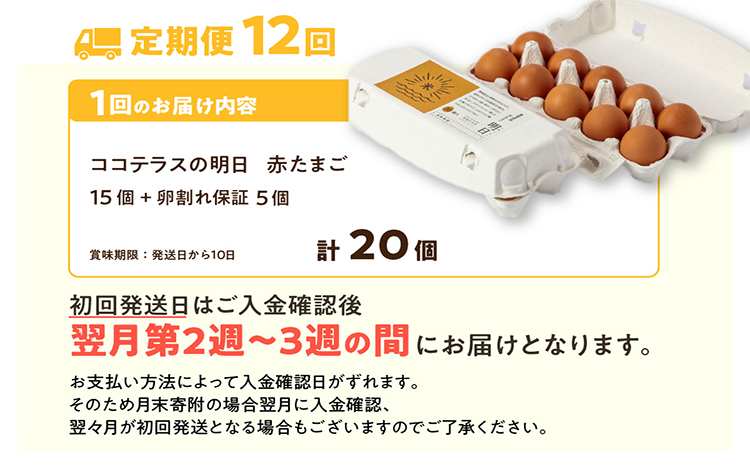 【12ヵ月定期便】ココテラスの明日（赤たまご）15個 + 5個保証（計20個）【JGAP認証】