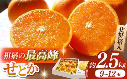 【2026年2月下旬から発送】 みかん ミカン せとか 約2.5kg 果物 フルーツ 秀品 贈答用 化粧箱 ギフト 贈答 蜜柑 柑橘 かんきつ くだもの 旬 甘い 品種 3kg 5kg 10kg より少ない 2kg 以上 2.5㎏【小春農園】 [ZBN002]