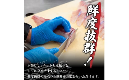 【急速冷凍】 鮮度抜群 カンパチ80g 3枚 セットと塩1袋 【野島水産】 240g×塩1袋