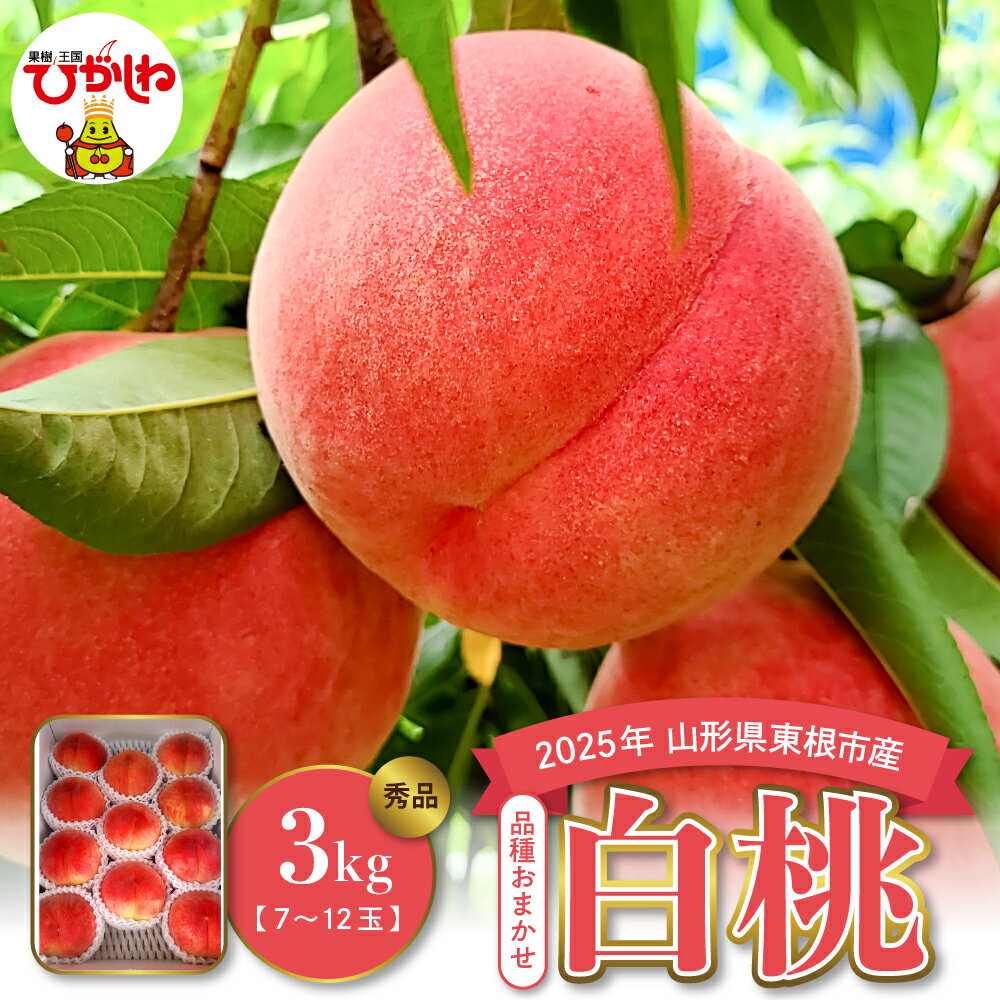 【ふるさと納税】2025年産 桃 白桃 ( 品種おまかせ ) 3kg / もも ピーチ フルーツ 果物 くだもの 期間限定 大容量 冷蔵配送 先行予約 農家直送 産地直送 お取り寄せ グルメ ご当地 特産 山形県 東根市
