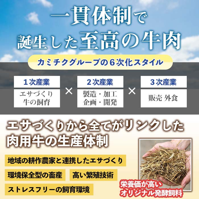 i828 鹿児島県産 簡単おかず煮込み３種類(計1.3kg)【カミチク】