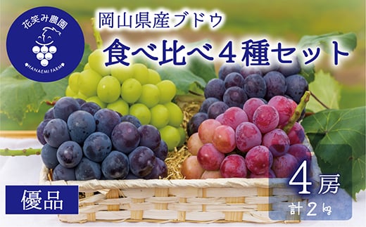 
                  岡山　花笑み農園の『食べ比べ4種』シャイン入り　優品　2kg (4房) 4M-2優【1695970】
                