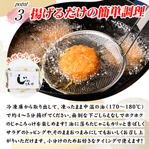 じゃころっけ(計48個)鳥取県 コロッケ ちりめん おかず 惣菜 小分け 揚げるだけ 簡単調理 便利 冷凍【sm-CD006】【羽根】