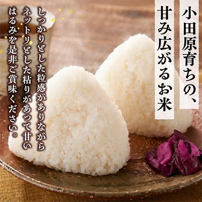 ふるさと納税 小田原市 令和7年産 小田原の米「はるみ」10kg(5kg×2) |  | 01