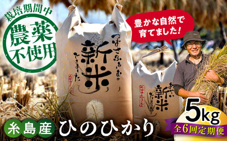 【全6回定期便】 糸島産 雷山のふもとの米 農薬不使用 5kg 糸島市 / ツバサファーム[ANI004] 白米 玄米 定期便