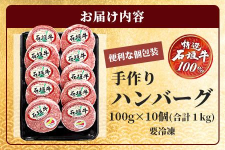 A-6-1 石垣牛ハンバーグセット100g×10個