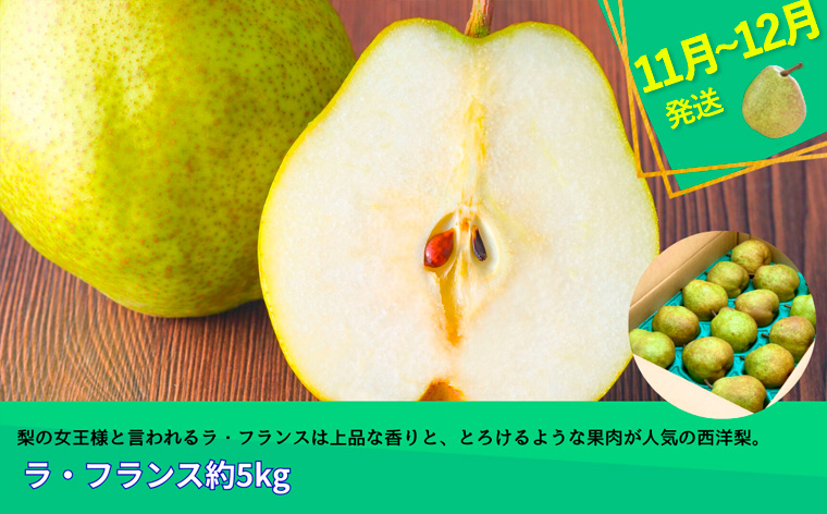 【定期便3回】やまがたフルーツ定期便”蔵王”山形名物フルーツA FY25-343