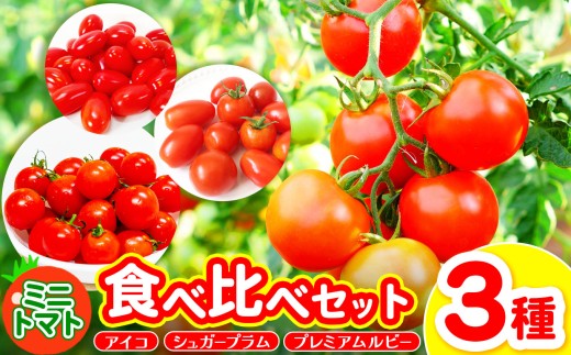御杖村産 ミニトマト食べ比べセット(3種)  | ミニトマト セット アイコ シュガープラム プレミアムルビー 野菜 旬 おいしい グルメ 奈良県 御杖村