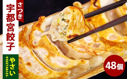 
            やさい餃子 24個入り×2箱（合計48個）（960g）
          