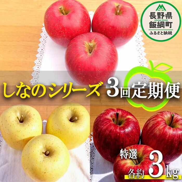 【ふるさと納税】季節のりんご 【定期便】シナノシリーズ 3kg× 3回 特撰 やまじゅうファーム 沖縄へは配送不可 〔 果物 フルーツ 林檎 長野 予約 農家直送 贈答用 3キロ 36000円 〕【令和7年度収穫分】 発送：2025年9月下旬〜