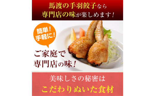 【宮崎空港で大人気!】TV某番組で餃子日本一獲得!＜馬渡の手羽餃子18本＞2～3週間以内に順次出荷 餃子の馬渡 手羽先餃子 国産100％ 宮崎餃子 特産品