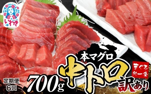 【定期便/計6回】本マグロ訳あり中トロ700g（計4.2kg）|鮪 本鮪 本まぐろ マグロ トロ とろ 刺し身 さしみ さかな 海鮮 寿司 解凍レシピ付