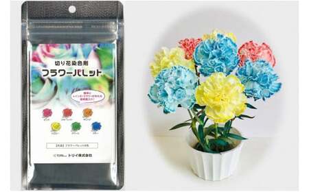 切花染色剤 フラワーパレットR・T024-12