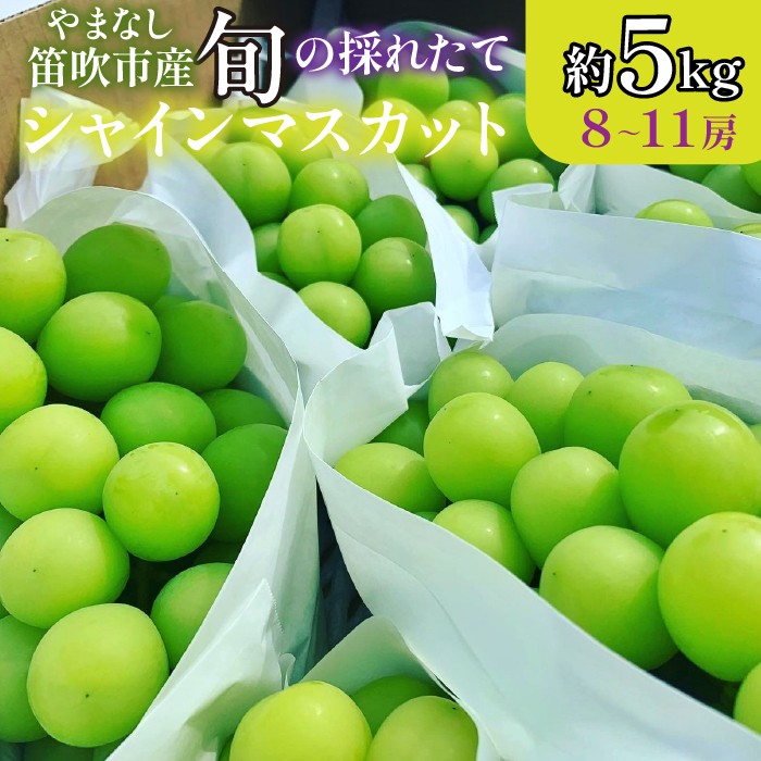 
                  【2026年発送★先行予約】山梨県笛吹市産 旬の採れたてシャインマスカット 秀等品 約5kg 8～11房  105-026-oya
                