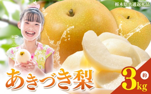 【2026年先行予約】栃木県産 梨 あきづき 3kg | あきづき なし ナシ 完熟 果物 フルーツ プレゼント ご褒美 お取り寄せ 贈答 おいしい ジューシー 数量 限定 栃木県産 栃木県 真岡市 減農薬 送料無料