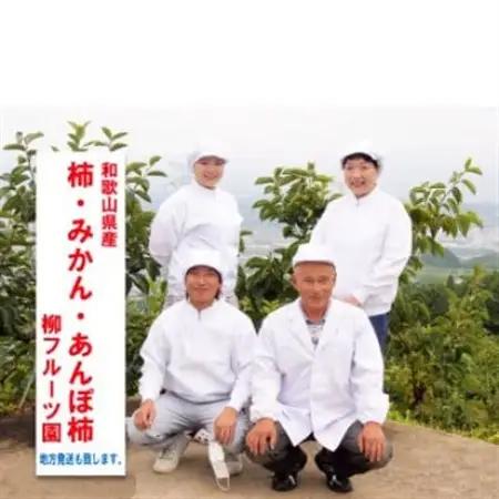 柿【先行受付】柳フルーツ園 たねなし柿 約2kg_果物・フルーツ 柿（カキ）  かき_【1430450】