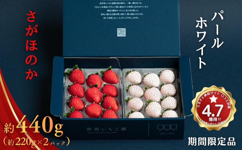 佐賀県産いちご さがほのか＆パールホワイト 紅白セット：B140-008