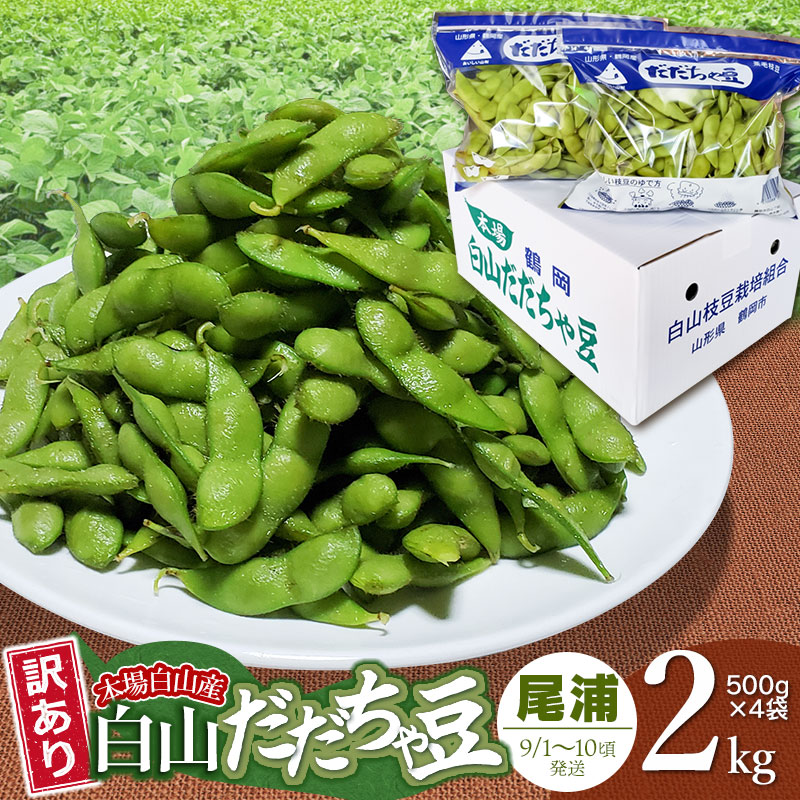 【ふるさと納税】【令和8年産先行予約】本場 白山産 白山だだちゃ豆 尾浦(おうら) 【訳あり】2kg （500g×4袋） 農家 長四郎 枝豆 | 2025年 えだまめ エダマメ おつまみ 山形県 鶴岡市 山形 鶴岡 楽天ふるさと 支援 東北 お取り寄せ 茶豆 酒のつまみ 野菜 酒の肴