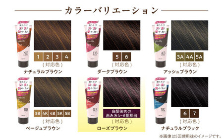 ダリヤ サロンドプロ カラートリートメント 3個セット【ローズブラウン】 / 稲沢市 / 日興商事株式会社 [BMBK003-05]