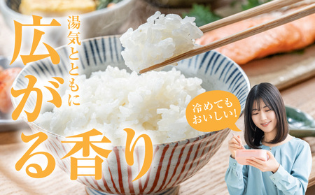 都城産ひのひかり特別栽培米「ぼんちそだち」10kg(5kg×2袋)_31-N501_(都城市) 都城産 お米 10kg 5kg×2 ひのひかり ぼんちそだち