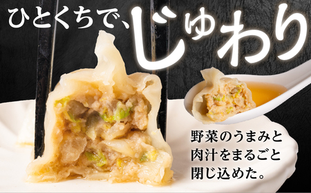 とよはし お試しサイズ『最強肉汁餃子』10個入り 簡易包装　新感覚！餃子