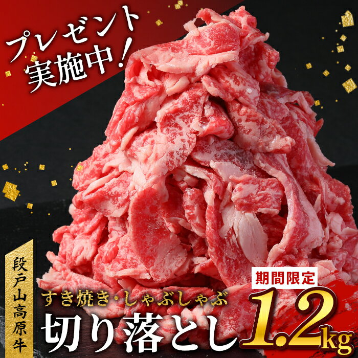 【ふるさと納税】 期間限定特別規格★国産ブランド牛 切り落とし 1.2Kg (200g×6） 小分け 段戸山高原牛 幻 牛 国産 牛肉 牛 スライス 地域 限定 小分け 大満足 赤身 肉 数量限定 肉 牛肉切り落とし 牛切り落とし 国産牛 ブランド牛 10000円 10,000円 -039
