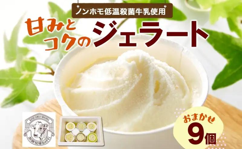 ジェラート加藤牧場ノンホモ低温殺菌牛乳ジェラート【9個】【冷凍】