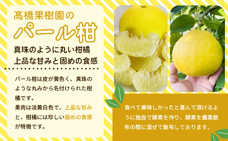 宇城市 パール柑（化粧箱入り）3kg 高橋果樹園【2026年3月上旬から4月下旬発送予定】ぱーるかん 柑橘 フルーツ 果物 くだもの