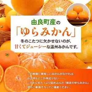 ゆらみかん 10kg  ※2026年11月下旬頃から12月上旬頃に順次発送予定 【kzmn004-r-10】